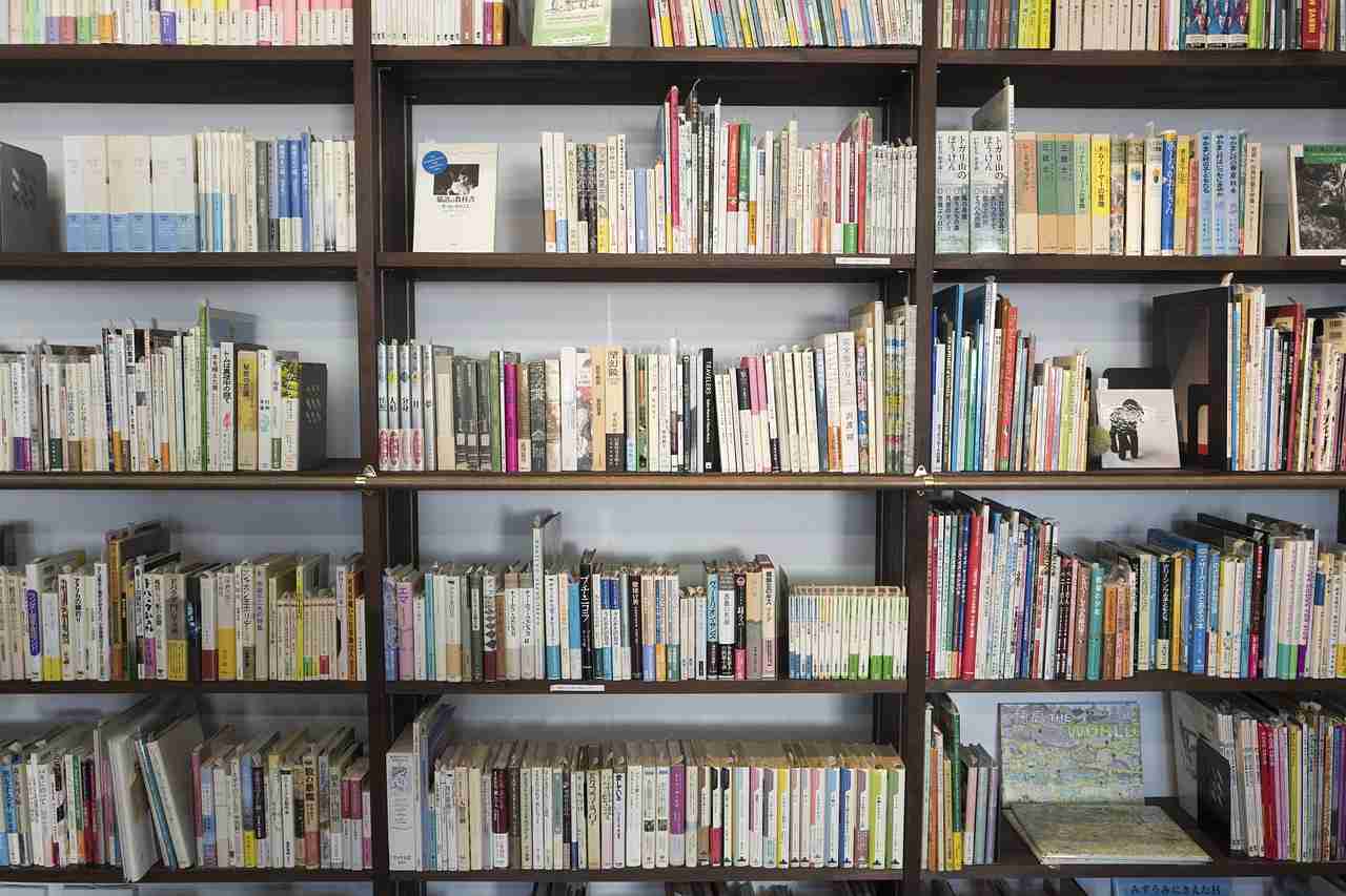novels-and-movies-comparison